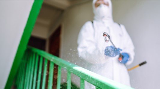When to Schedule Pest Control Singapore Services for Best Results